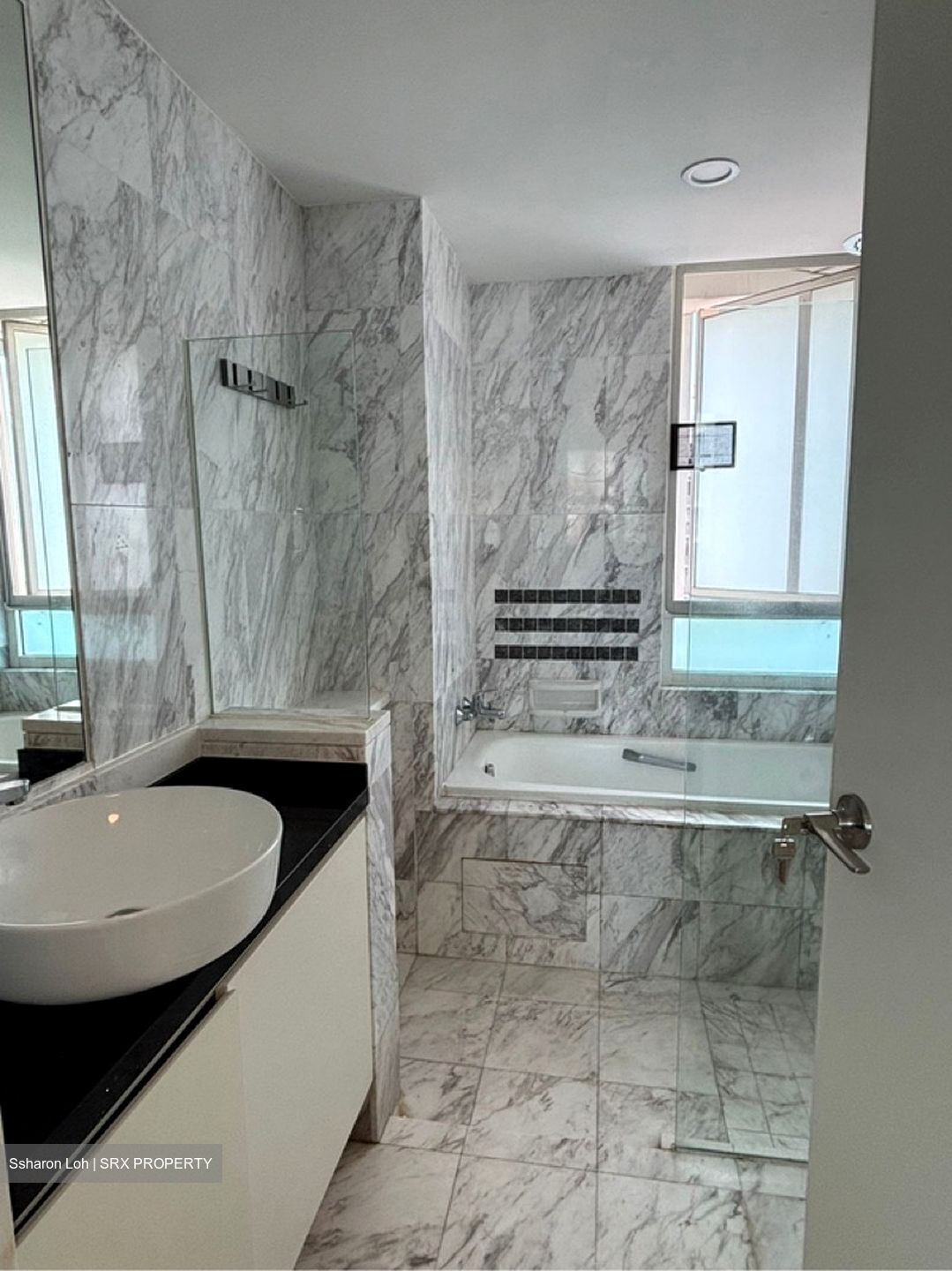 Dahlia Park Condominium (D17), Condominium #602192841